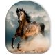 Pferd Wild Stallion Dekokissen 37x33 cm