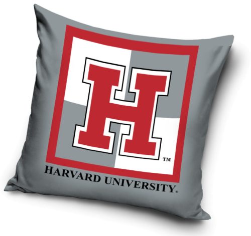 Harvard Kissenbezug 40*40 cm