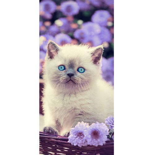 Katze Bloom Badetuch, Strandtuch 70x140cm