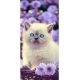 Katze Bloom Badetuch, Strandtuch 70x140cm