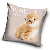 Katze Home Kissenbezug 40x40 cm Velours