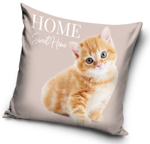 Katze Home Kissenbezug 40x40 cm Velours