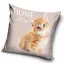 Katze Home Kissenbezug 40x40 cm Velours