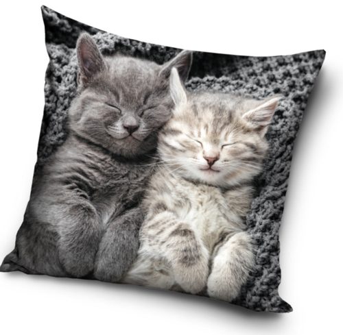 Katze Sleeping Samtdekorativer Kissenbezug 40x40 cm