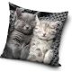 Katze Sleeping Samtdekorativer Kissenbezug 40x40 cm