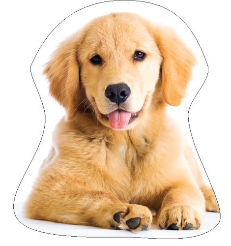 Hund Golden Retriver Dekokissen 35x35 cm