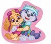 Paw Patrol Skye&Everest Dekokissen 38x39 cm