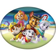 Paw Patrol Team Dekokissen 40x29 cm