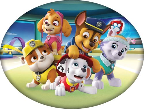 Paw Patrol Team Dekokissen 40x29 cm