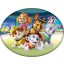Paw Patrol Team Dekokissen 40x29 cm