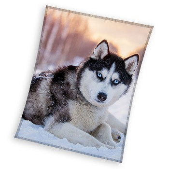 Hund Husky Korallenfleece Decke 150x200cm