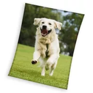 Hund Happytail Retriever coral fleece Polar Decke 150x200cm
