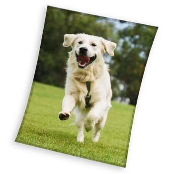 Hund Happytail Retriever coral fleece Polar Decke 150x200cm