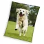 Hund Happytail Retriever coral fleece Polar Decke 150x200cm