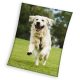 Hund Happytail Retriever coral fleece Polar Decke 150x200cm