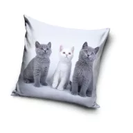 Katze Trio Dekokissenbezug 40x40 cm Samt