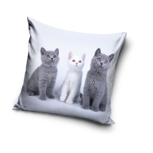 Katze Trio Dekokissenbezug 40x40 cm Samt