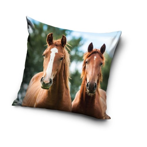 Pferd Harmony Kissenbezug 40x40 cm