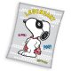 Snoopy Legendary coral fleece Decke 150x200cm
