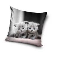 Katze Twins Dekokissenbezug 40x40 cm Samt