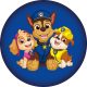 Paw Patrol Squad Dekokissen 37x37 cm
