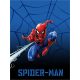 Spiderman Nightweaver coral Fleece Decke 150x200cm
