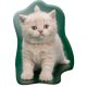 Katze Creamy Whiskers Formkissen, Zierkissen 40x32 cm Samt