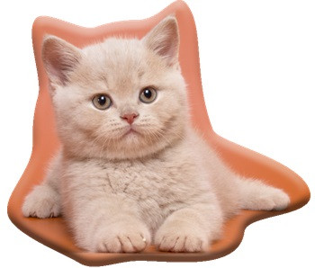 Katze Fluffy Dekokissen 38x33 cm Velours