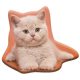 Katze Fluffy Dekokissen 38x33 cm Velours