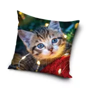 Katze Cozy Lights Dekokissenbezug 40x40 cm Samt