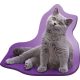 Katze Grey Dekokissen 36x40 cm Velours