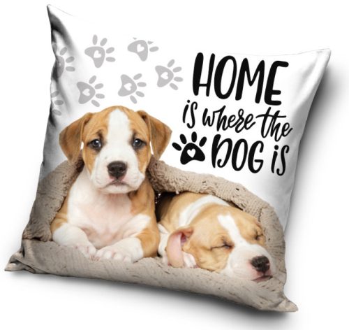 Hund Home Kissenbezug 40x40 cm Samt