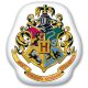 Harry Potter Dekokissen 35*37 cm