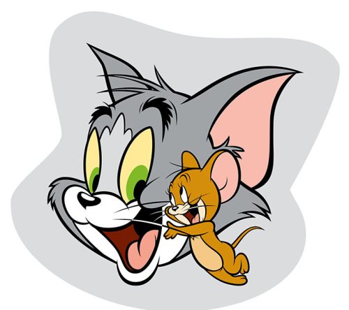 Tom und Jerry Formkissen, dekoratives Kissen 32*32 cm