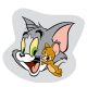 Tom und Jerry Formkissen, Zierkissen 32*32 cm