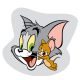 Tom und Jerry Formkissen, dekoratives Kissen 32*32 cm