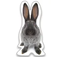 Hase S-förmiges Dekokissen 22*36 cm
