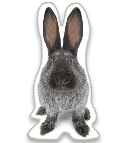 Hase S-förmiges Dekokissen 22*36 cm