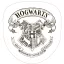 Harry Potter Dekokissen 34*36 cm