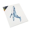 Farbe Nassau Gespanntes Holzrahmen-Leinwand 50x70 cm