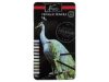 Farbe Nassau Metallische Bleistifte 12er Set