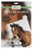 Pferd Nassau Malen nach Zahlen Set