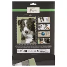 Hund Nassau Malen nach Zahlen Set