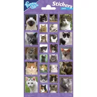 Tiere Funny Katze Aufkleber