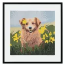 Tiere Dog Diamantperlen-Puzzle 30x30 cm