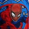 Spiderman Schultasche, Tasche 42 cm