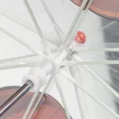 Spiderman Hero Kinder transparenter Regenschirm Ø71 cm