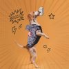 Avengers Comic Marvel Hundekleidung, Hundepullover XS