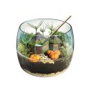 Harry Potter Hagrid Hütte Terrarium Clementoni