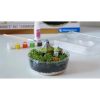 Harry Potter Hagrid Hütte Terrarium Clementoni
